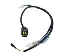 8 Pin CDI Unit Plug Kick Start Wiring Wire Harness Loom For Kayo Motorcycle Motocross Accessories Ignition Coil