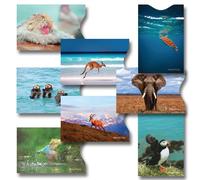 8 RFID Blocking Sleeves, Anti-Theft Credit Card Holder, Credit Card Protector, Easy to Recognize, Different Designs, Sea Turtle, Kingfisher, Elephant, Monkey, Kangaroo, Goat, Sea Otter, Bird