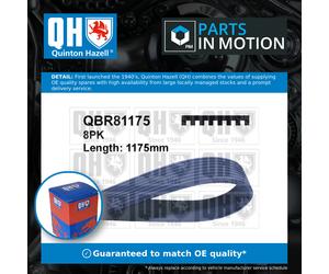 8 Rib Multi V Drive Belt QBR81175 Quinton Hazell RF5C15909A RF7J15909 8PK1172