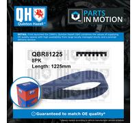 8 Rib Multi V Drive Belt QBR81225 Quinton Hazell RF5D15909 RF7L15909 RS7L15909