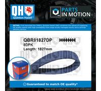 8 Rib Multi V Drive Belt QBR81827DP Quinton Hazell 11287570232 11287586901 New