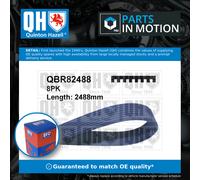 QUINTON HAZELL QBR82488 Serpentine belt