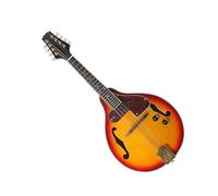 8-string Electric Mandolin National Musical Instrument With Bag String Cable Accessories Mandolin for Student