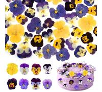 8 Types Naturally Dried Pressed Edible Flowers 56Pcs