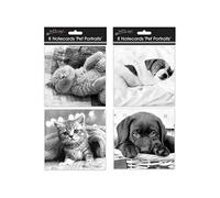 8 x Cute Cats Blank Notelets Notecards Thankyou Cards