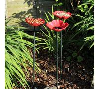 8 X Kingfisher Natures Market Wild Bird Poppy Flower Feeders Bath Free Standing