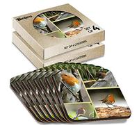 8 x Square Coasters - Robin Redbreast Garden Bird Cork Backed MDF Glossy Tea Coffee Accessory #63249
