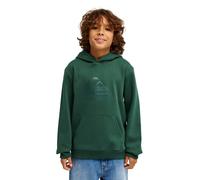 (8 Yrs, Forest) Quiksilver Kids Comp Logo Pullover Hoodie