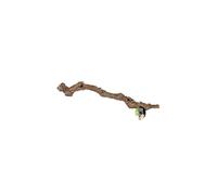 (80 - 100cm) ProRep Cork Oak Branch