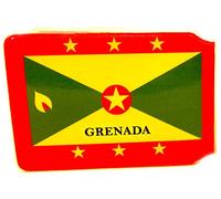 (80+ Designs) Bus Pass Wallet Credit Travel Rail Ticket Card Holder for Oyster Zip Business ID Card - Bifold - Party Bag Gift School Leaver (Grenada)
