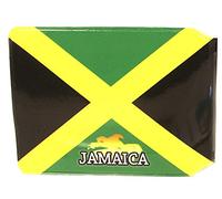 (80+ Designs) Bus Pass Wallet Credit Travel Rail Ticket Card Holder for Oyster Zip Business ID Card - Bifold - Party Bag Gift School Leaver (Jamaica Splash)