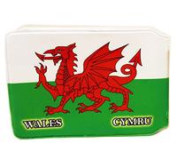 (80+ Designs) Bus Pass Wallet Credit Travel Rail Ticket Card Holder for Oyster Zip Business ID Card - Bifold - Party Bag Gift School Leaver (Wales Welsh)
