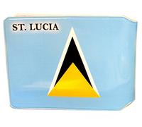 (80+ Designs) Bus Pass Wallet Credit Travel Rail Ticket Card Holder for Oyster Zip Business ID Card - Bifold - Party Bag Gift School Leaver (St. Lucia)