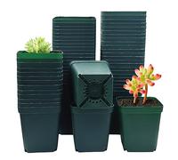 80-Pack 3.54" Green Square Plastic Nursery Succulent Flower Grow Pots 80pcs/Pack (9cm 80pcs Green)
