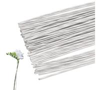 80 Pieces 3 mm 8 Gauge Floral Wire Stems, 11.8" White Artificial Flower Stems Rod, Iron Florist Wire Sticks for Crochet Paper Flowers Arrangement Crafts Wreath Making Supplies (White)