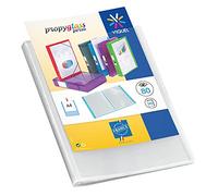 80 Views in PROPYGLASS Viquel Customizable Binder Clear