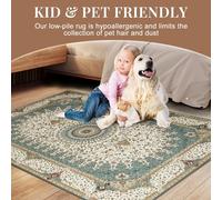 (80 x 150 cm (2 ft 6 in x 5 ft)- Floor Runner Rug/Carpet, Willow Teal) Extra Large Traditional Rugs Modern Carpet Doormat