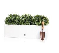 80 x 24cm Gloss Fibreglass Trough Planter in White Primrose White One Size