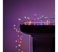800 LED 5.5m Premier Christmas Indoor Outdoor Multifunction Wire Cluster Lights with Timer in Rainbow Samuel Alexander Multi One Size