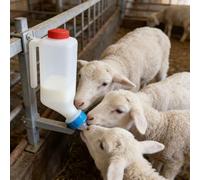 800ml/500ml Lamb Feeding Bottle with Scale Hanging Milk Bottle for Kids, Calves and Lambs, Portable Feeding Bottle with Comfortable Handle for Farm Use (3L)