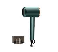 800W Electric Hair Dryer Heat Speed Settings Portable