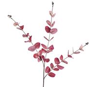 80cm Pink Eucalyptus Foliage Stem