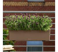 80Cm Window Box, Nutmeg Plastic Self-Watering Planter With Drain Plug, Lechuza Balconera Color Indoor Plant Pot, H19 L80 W19 Cm