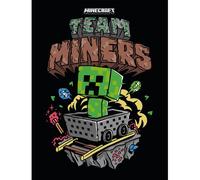 (80cm x 60cm, Multicoloured) Minecraft Team Miners Framed Canvas Print