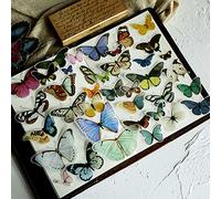 80PCS Small Vintage Butterfly Scrapbook Stickers, Doraking DIY Decoration Sulfuric Paper Butterfly Stickers for Scrapbook(Butterfly Illustration, 80PCS/Pack)