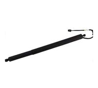 81831s8100, 81841s8100 For Modern For Paristi 2020-2022 Electric Tailgate Support Rod Hydraulic Strut Liftgate Power Lift Support(R)
