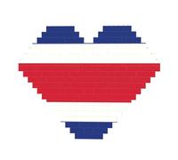 82 Piece Heart Shaped Building Brick Puzzle Art Block 3D Jigsaw Desk Decor Flag of Costa Rica Print