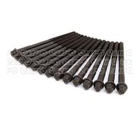 Cylinder head bolt set Male Torx 820.229 ELRING for BMW BERTONE