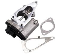 8200507299 for Renault Laguna Scenic Megane MK II 1.9 dCi Exhaust AGR EGR Valve
