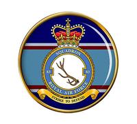 83 Squadron, RAF Pin Badge