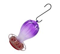 830ml Glass Hummingbird Liquid Dispenser Having Consistent Closure and Suspension Chain Great for Yard Enhancement Hummingbird Feeder with Hanger