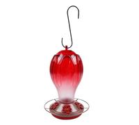830ml Glass Hummingbird Liquid Dispenser Having Consistent Closure and Suspension Chain Great for Yard Enhancement Hummingbird Feeder with Hanger