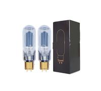 845 tube replaces 845-TII 845-TA WE845 845-DG E-845 A845 HIFI AMP audio tube amplifier(2pcs Matched Pair)