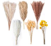85PCS Natural Dried Pampas Grass Decor - 17.5" Fluffy Boho Home Decor Pampas Grass Bouquet - Pompas Grass Plants Live - Bunny Tails Dried Flowers for Wedding Floral Room Home Party Table Decorations