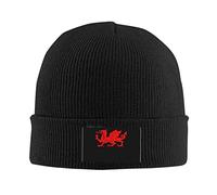 874 Beanie Knit Hats Welsh Dragon Skull Cap Comfortable Watch Cap Beanie Stretchy Baggy Skull Cap for Family Fall Thanksgiving 30X18 Cm