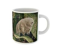 874 Ceramic Cup Tardigrada Tardigrade Water Bear 3D Rendered Moss Microscope Biology with Handle Coffee Cups Printed Tea Mug 330Ml for Home,Office,Hot Drinks