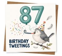 87th Birthday Card for Her, Birthday Tweetings Bird & Balloons | Her 87th gets a playful pun: “Birthday Tweetings”, plus big teal balloon numbers, confetti and a party-hat bird on a branch.