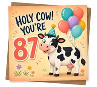 87th Birthday Card, Funny Balloons Design