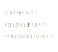 88 Key Piano Stickers, Removable Keyboard Stickers for Beginners, Full Keyboard Coverage with Colorful Notes & Staff, Silicone Piano Note Strips, Easy Installation