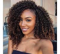 8Bundles/Lot Passion Twist Hair Marlybob Crochet Braids Hair Kinky Curly Crochet Hair Marly Twist Crochet Hair Short Crochet Hair Extensions for Black Women (10Inchs(8bundles), #1B-30)