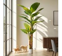 8ft Artificial Banana Tree Extra Tall Fake Plants Indoor for Living Room Large Faux Tree High End Realistic Floor Plant Big Silk Tree for Home Office Pet Friendly Large Indoor Plant Tropical Decor