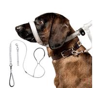 8ft Total Pet Figure Flat Dog Lead with Anti-Tangle Swivel | Anti-Pull Design Stops Pulling | Reflective Slip Lead with Padded Nose Support-180cm