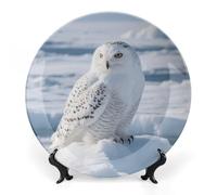 8inch Bone China Decorative Plates for Wall Hanging with Display Stand Chinese Porcelain Snowy Owl on The Ice Dessert Plate Display Dish Collections Ceramic Ornament Art Craft Home Office Decor