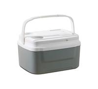 8L Car Cool Box 24 Hour Cooling Leak Proof Thermal Bag for Camping nic Barbecue Portable Plastic Cooler with Carry Handle (28 x 20 x 14 cm)