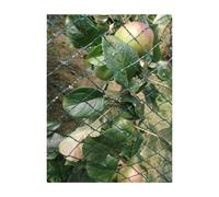 (8m x 10m) Yuzet Fish Pond Netting Anti Bird Garden Debris 2,4,6,8,10m Wide