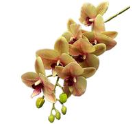 8pcs Artificial Moth Orchid Flower Branch 7 Heads Real Touch Feeling PU Phalaenopsis Stem for Wedding Home Floral Decoration (champagne)